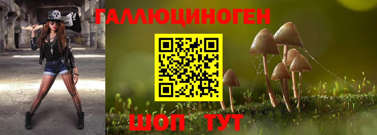 Серов  Псилоцибиновые грибы Psilocybe  Вход с VPN 